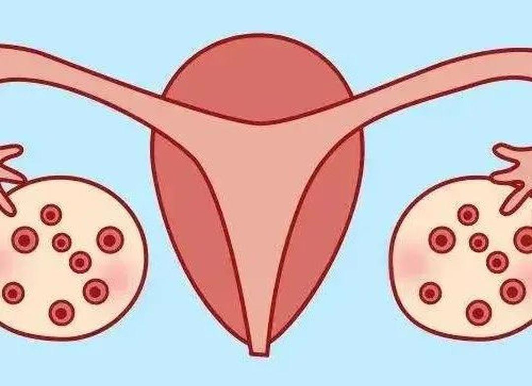 乐得宝功效与作用大揭秘：打一天卵泡长多大？