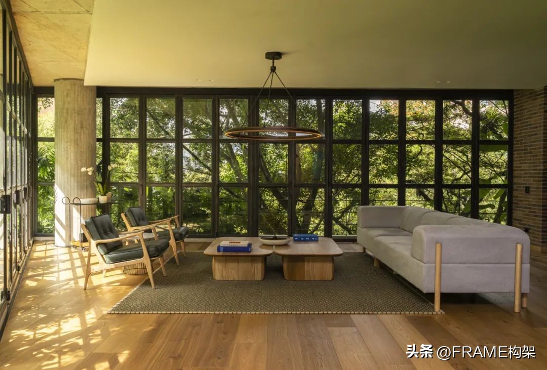 一周最受欢迎|Aesop多伦多体验店、哥伦比亚公寓、日本TreeSays