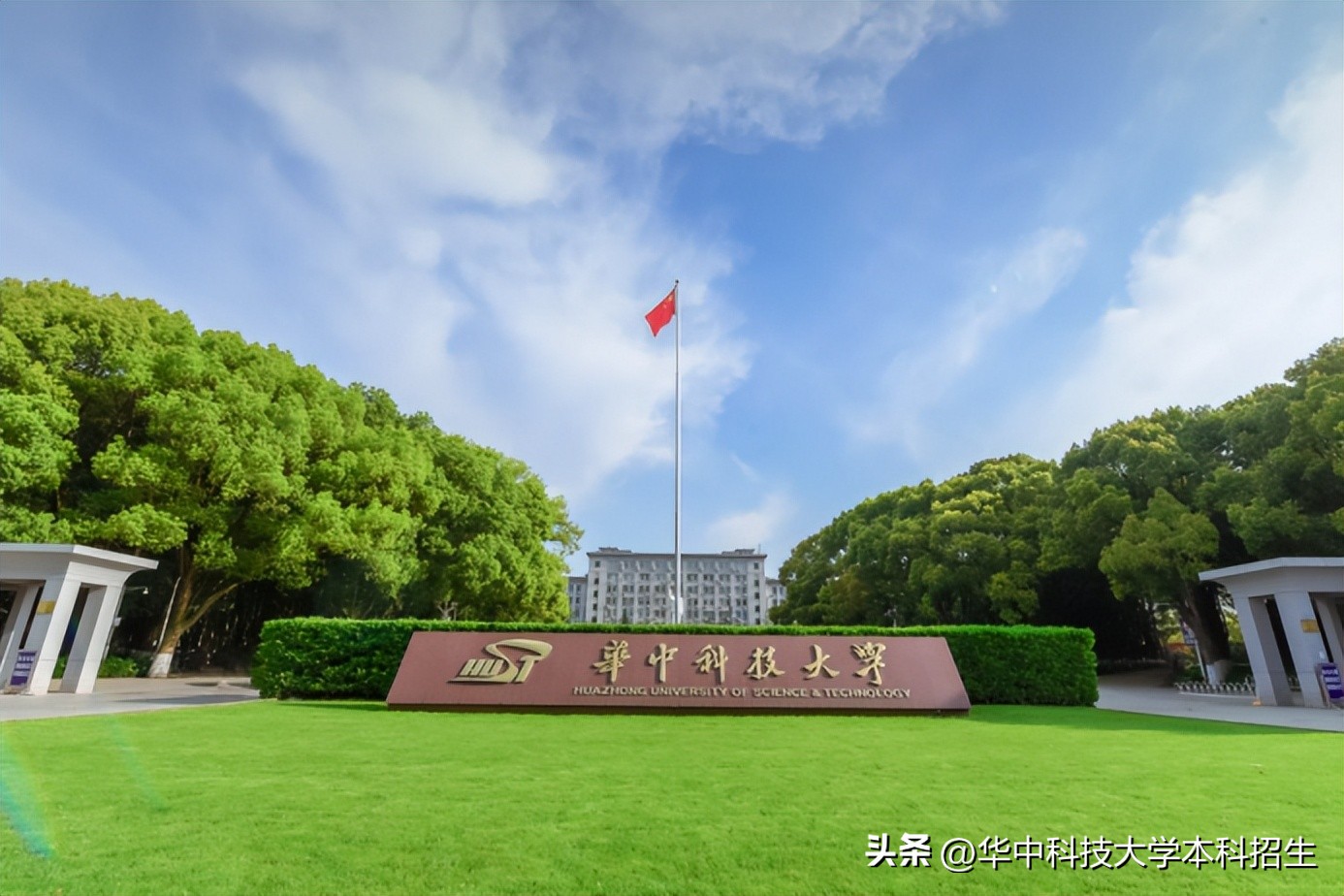 侵袭性真菌感染死亡率,全球侵袭性真菌感染