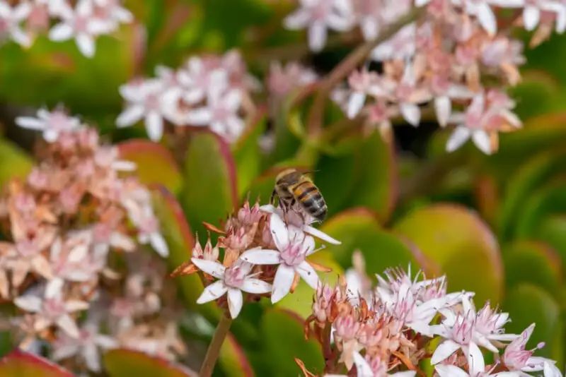 宾得新款16-50评测,宾得镜头18-135样片测评