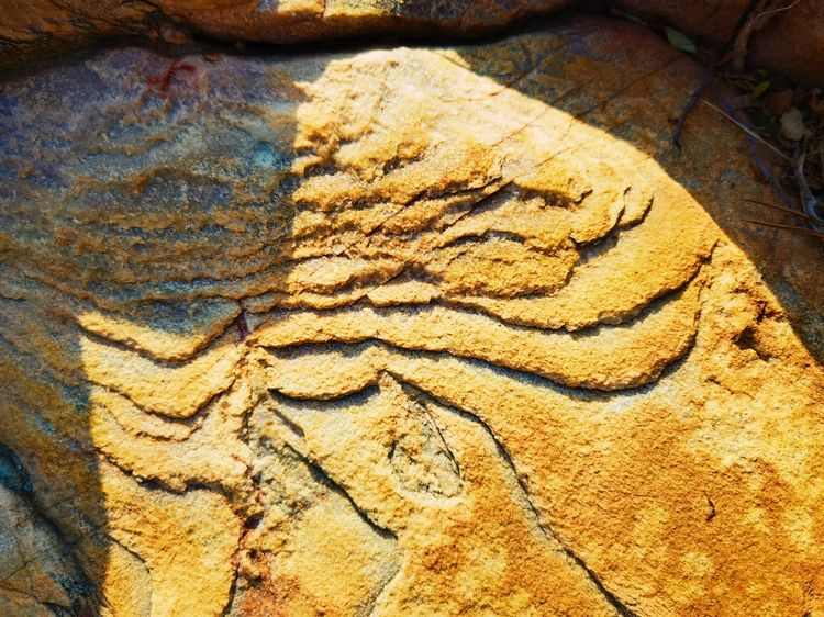 旅顺城山,旅顺城山怎么绕过去