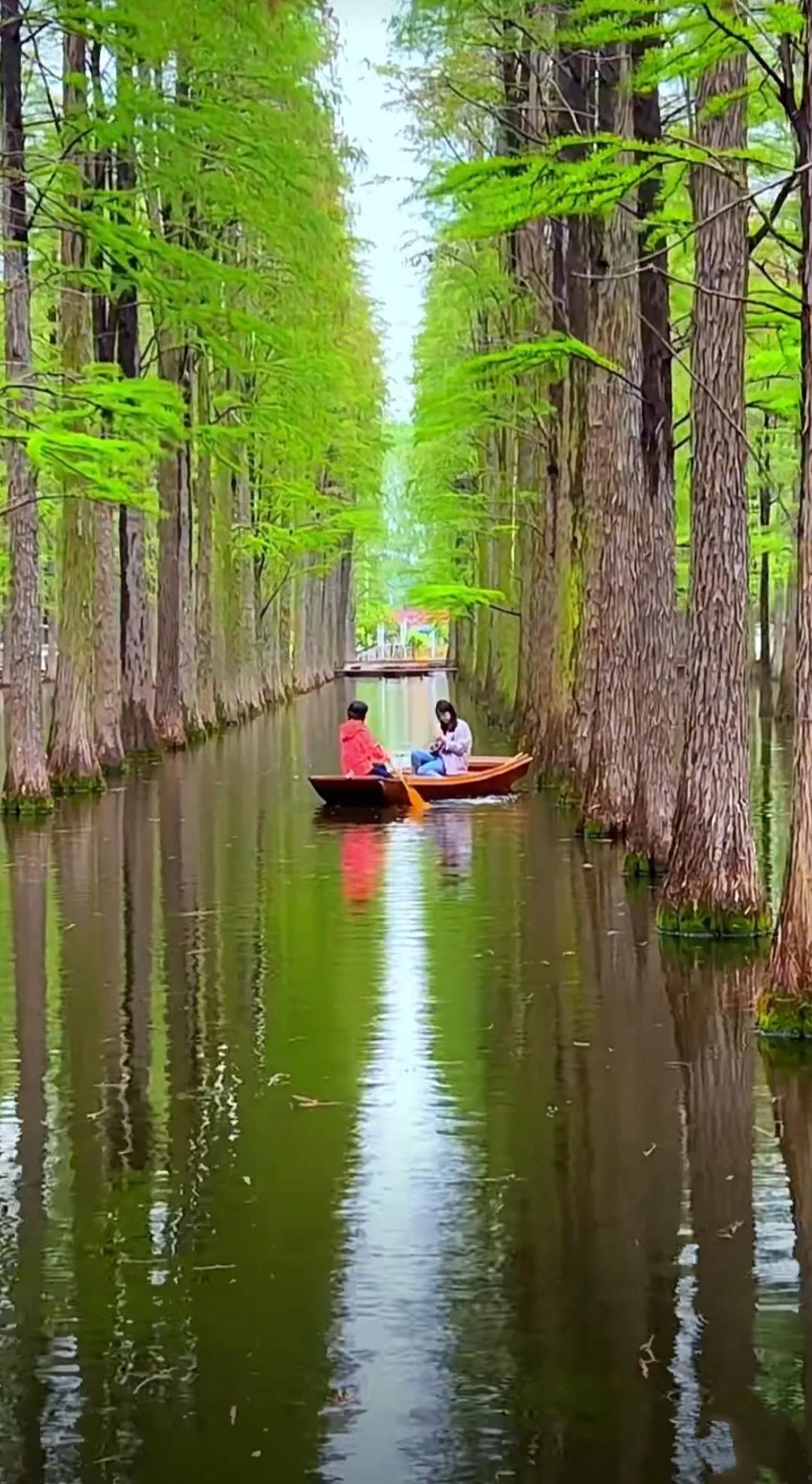扬州渌洋湖湿地,江苏扬州渌洋湖湿地公园