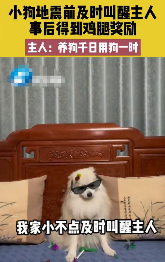 山东地震最新消息24小时视频,山东平原地震人们的真实反应