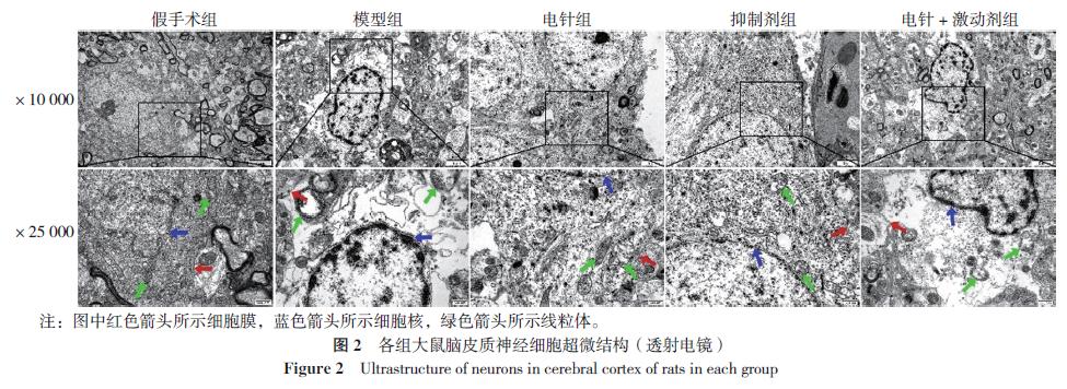 通督调神,通督调神盘龙针
