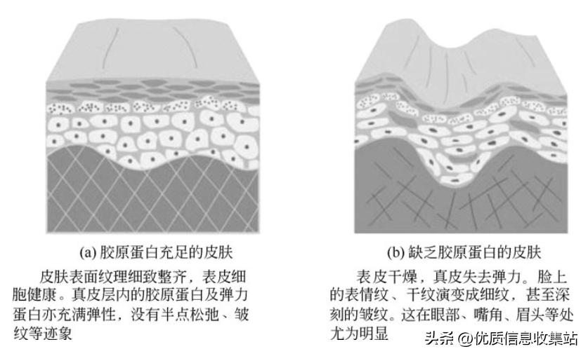 护肤书单爆款,美容化妆品书籍