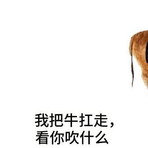 敢跟茅台叫板的5款大曲酱酒,郎酒叫板茅台