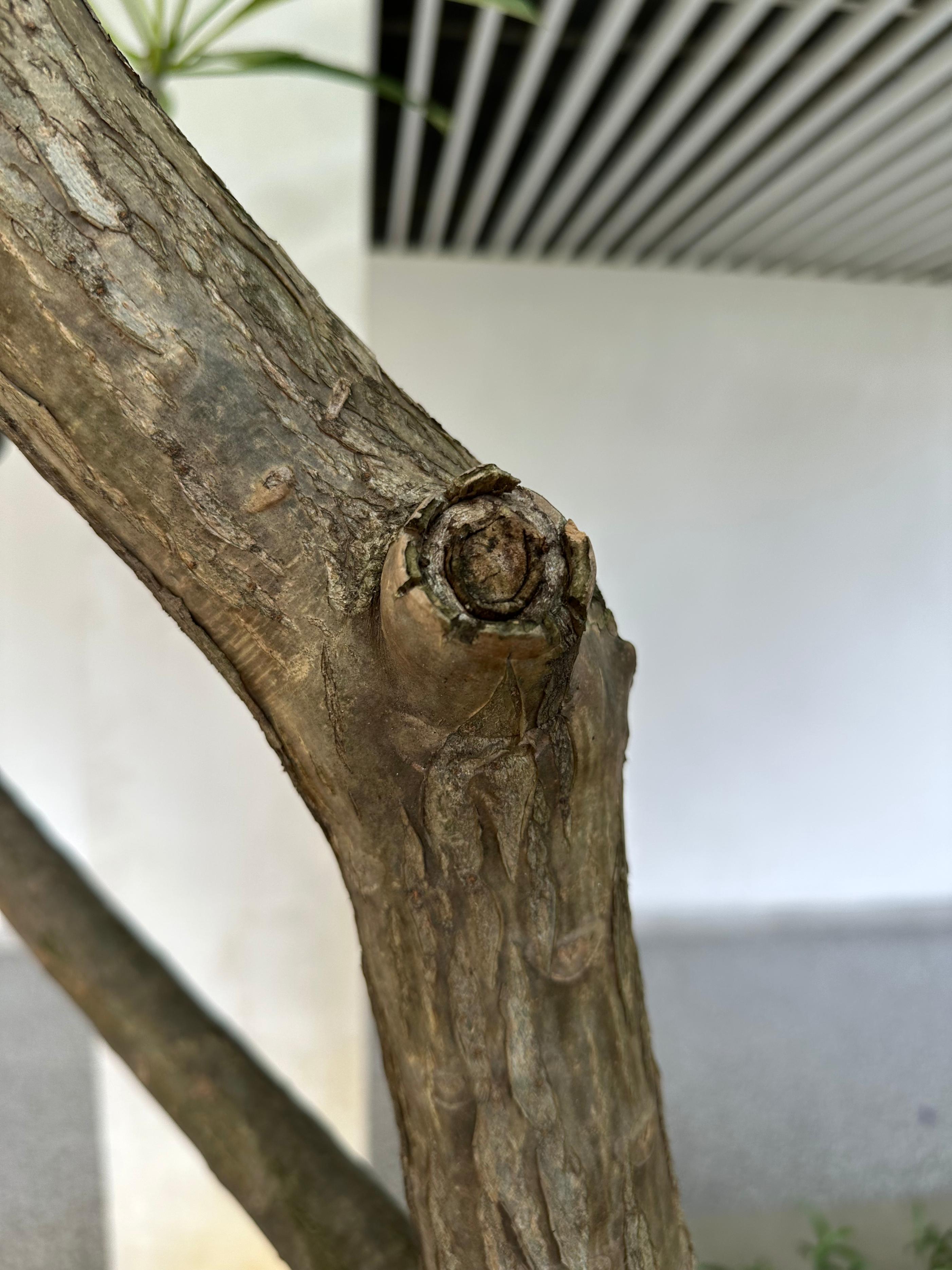 iphone14pro好用吗真实感受,iphone14pro真实体验感受