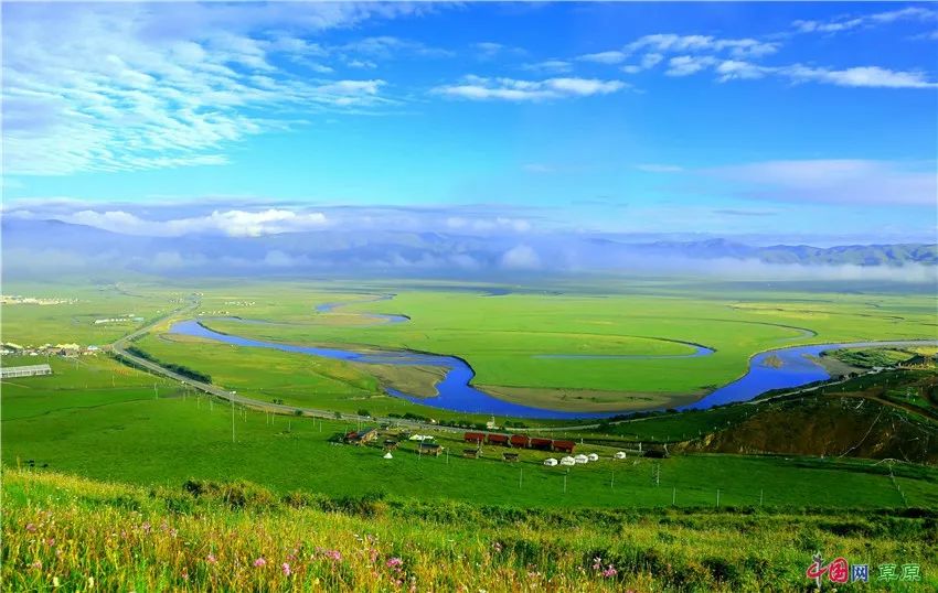 若尔盖草原：生命蓬勃而狂放，奔驰的马群听命于风