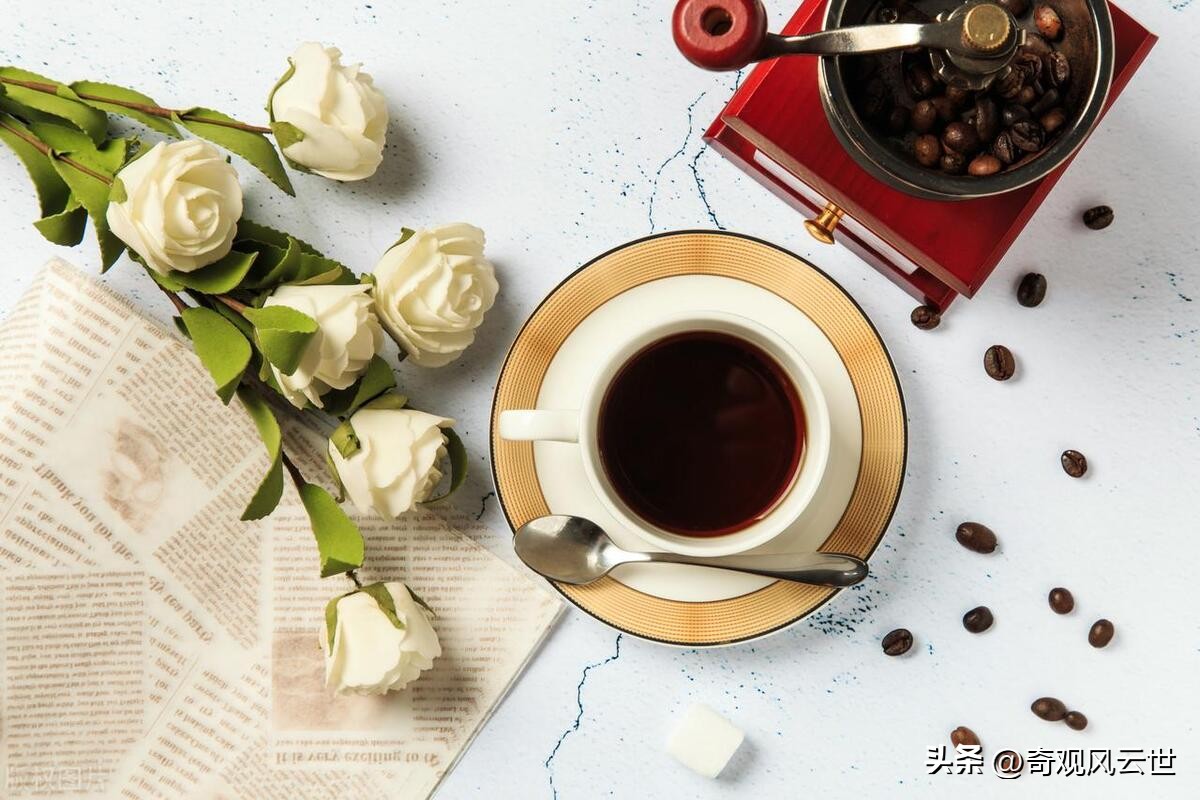 加盟咖啡店品牌有哪些,咖啡店加盟哪个比较实惠