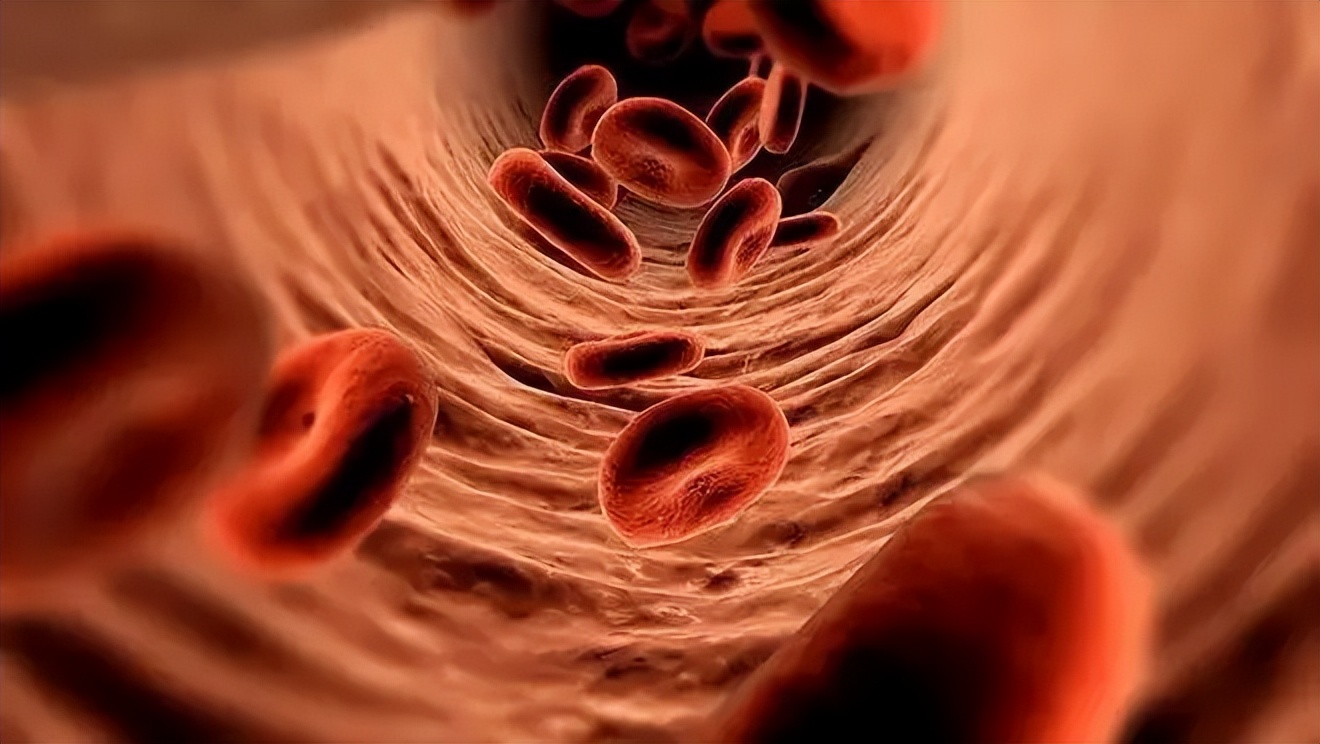 老年人结直肠癌患者危险因素及应用加速康复外科的临床治疗如何？