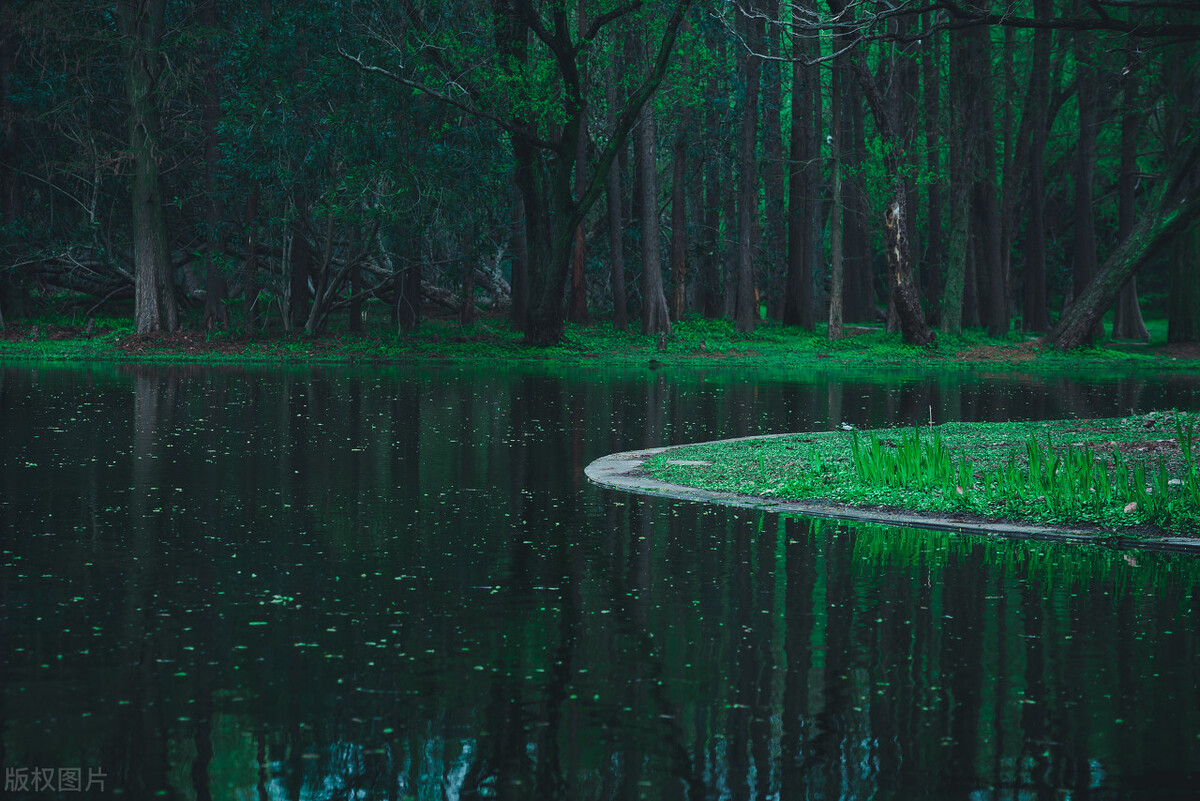 上海踏青2022,上海踏青最佳景点2021