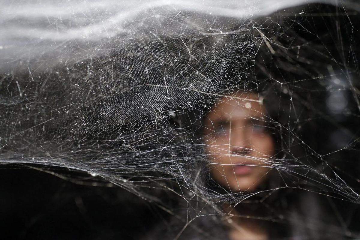 蜘蛛一次能产多少仔,蜘蛛一次可以吐几根丝