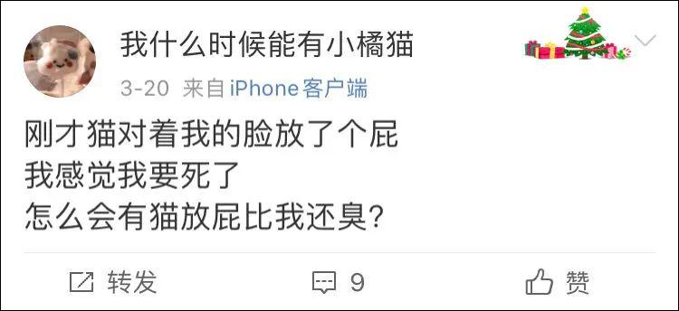 表面上可爱其实背地里也沙雕,表面萌萌哒