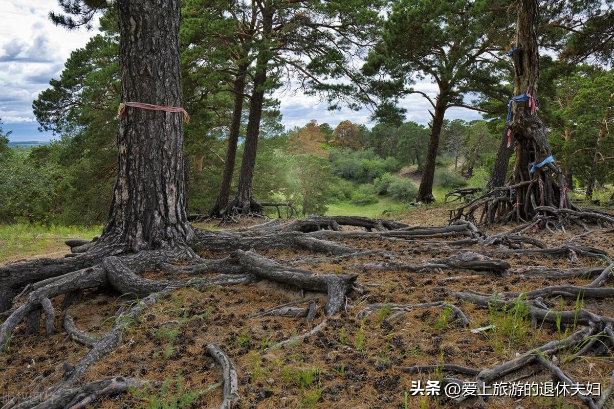 海拉尔额尔古纳一日游最佳方案,海拉尔自驾去额尔古纳旅游攻略