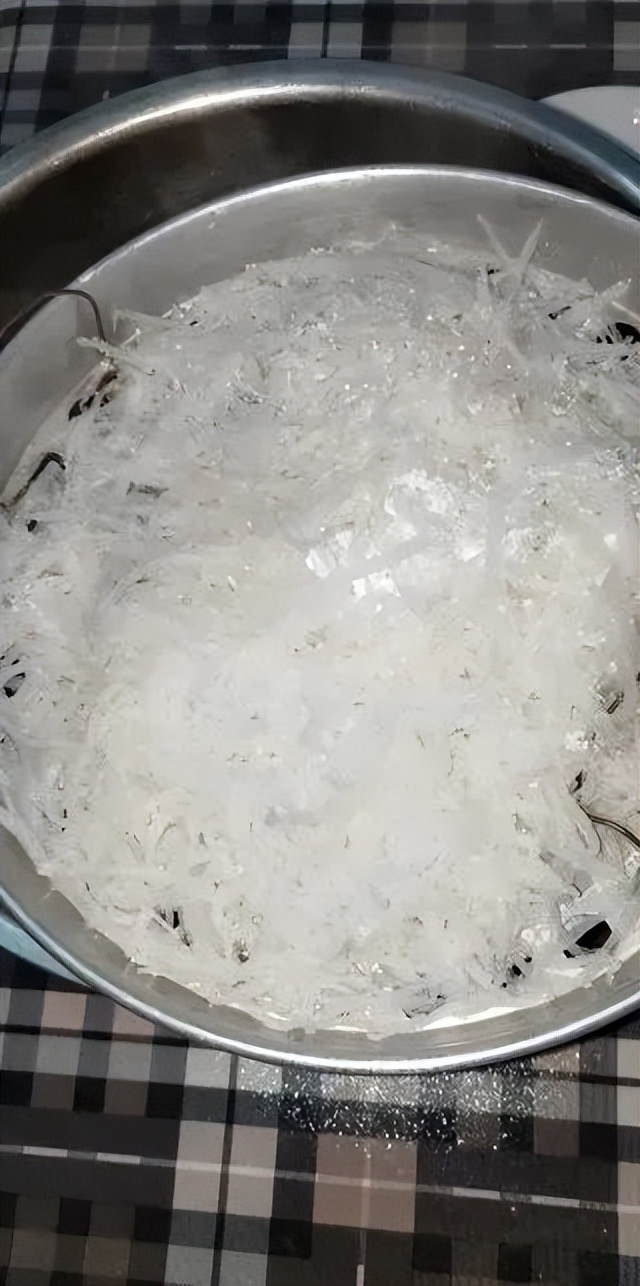 春赏牡丹花,春赏牡丹