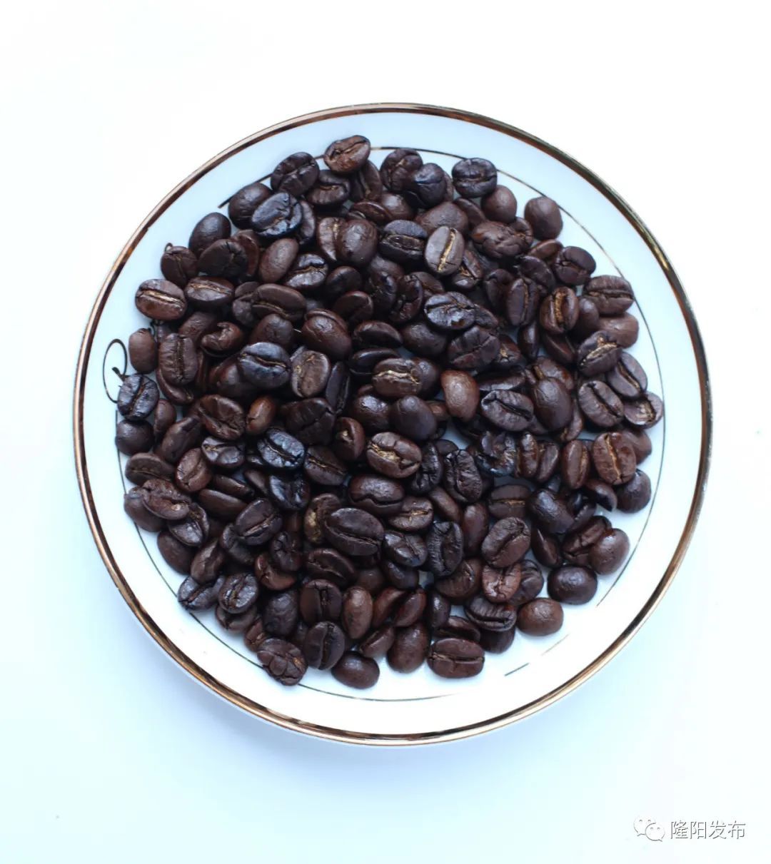 保山小粒咖啡未来的发展趋势,保山小粒咖啡的未来发展