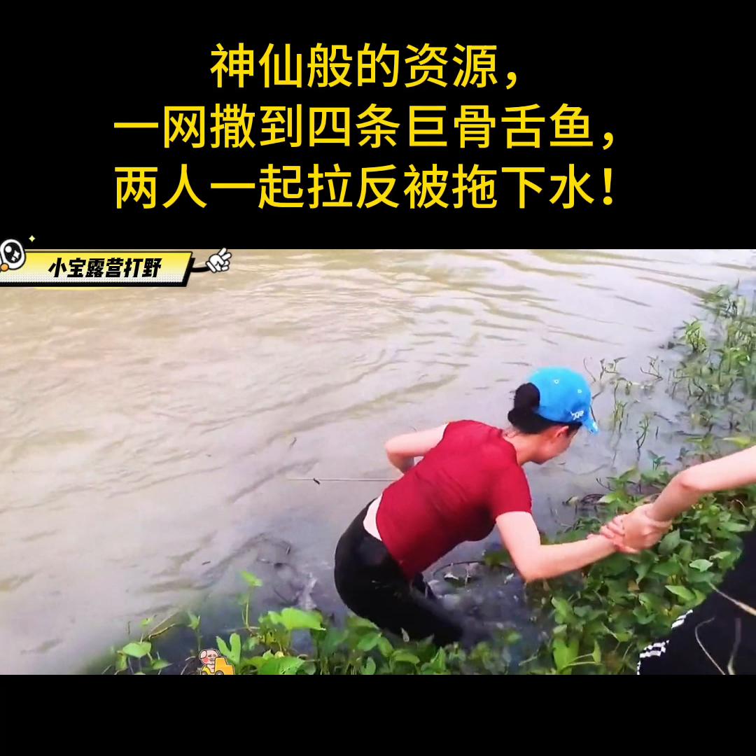 神仙般的资源，一网撒到四条巨骨舌鱼，两人一起拉反被拖下...