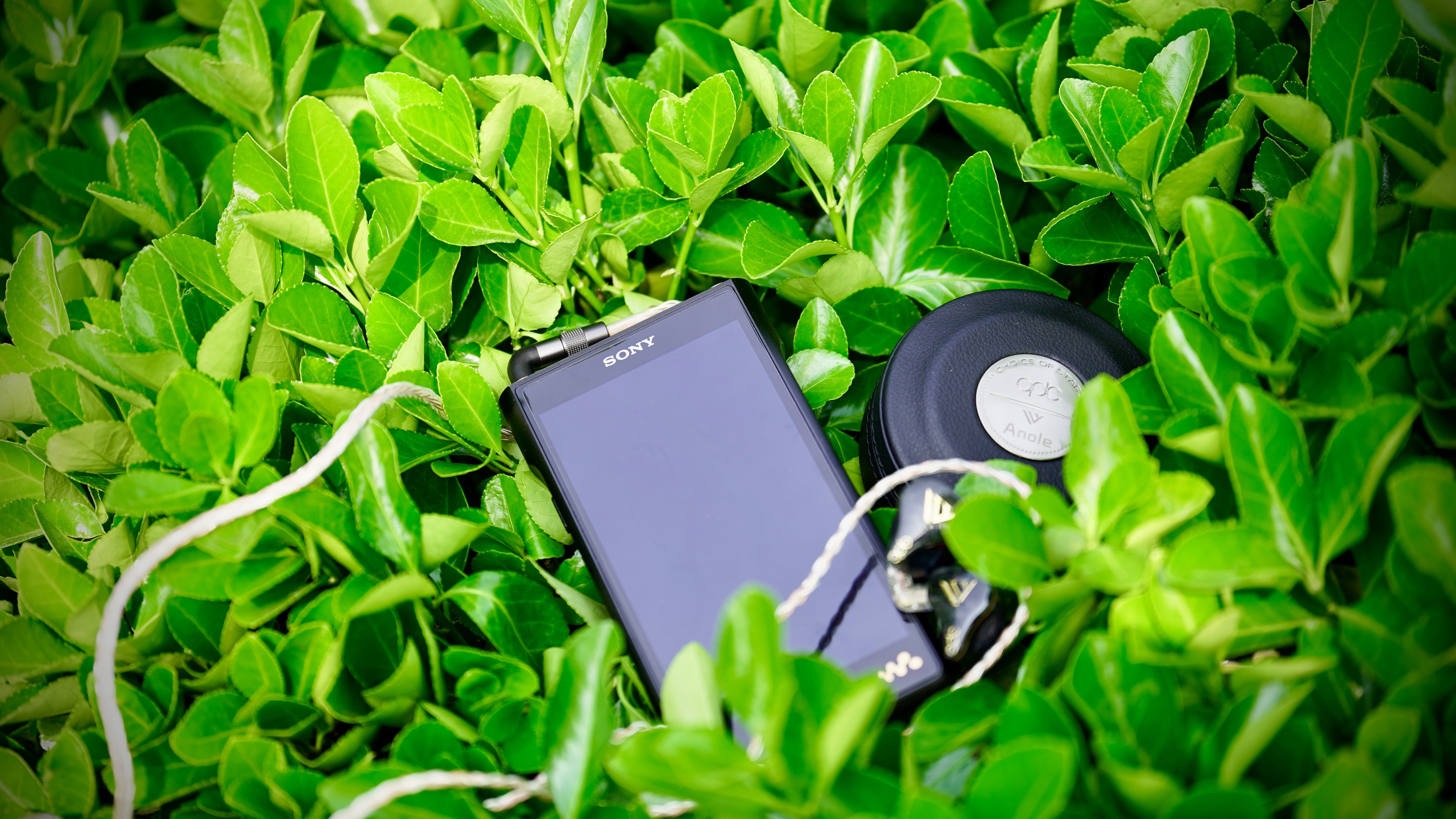 索尼walkman单放机,索尼walkmanwm2