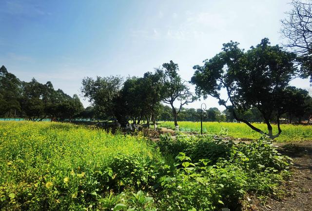 都市农业公园广州,广州农业公园近况