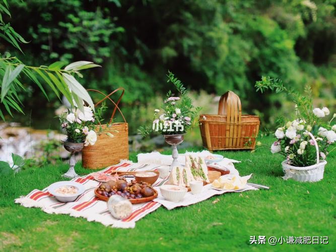 15天减20斤食谱一日三餐打卡,晚餐吃什么掉秤又简单