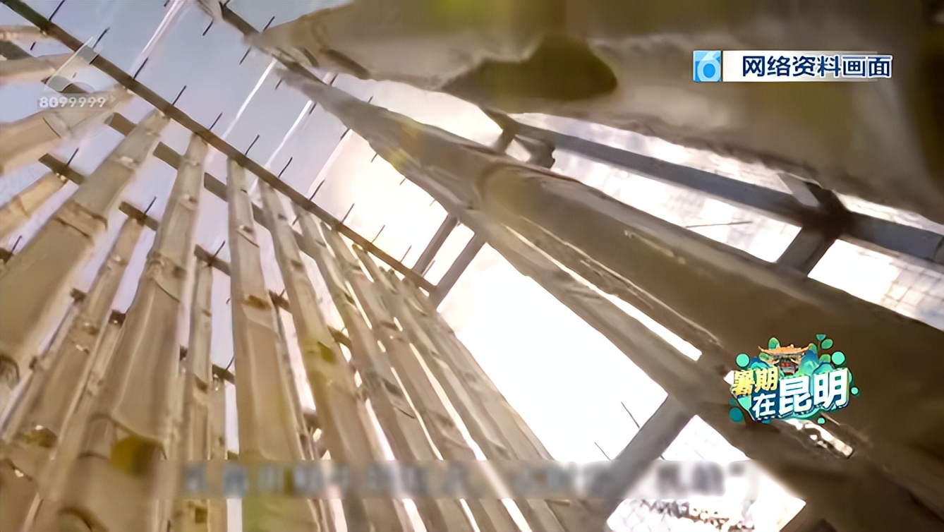 隔着屏幕都流口水的吃货,隔屏流口水的感觉