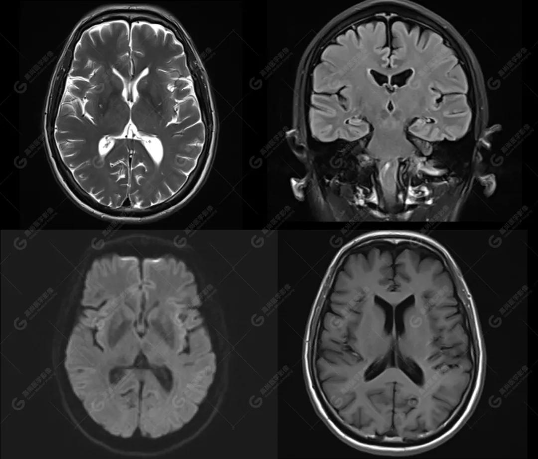 高尚锦旗,高尚最新新闻