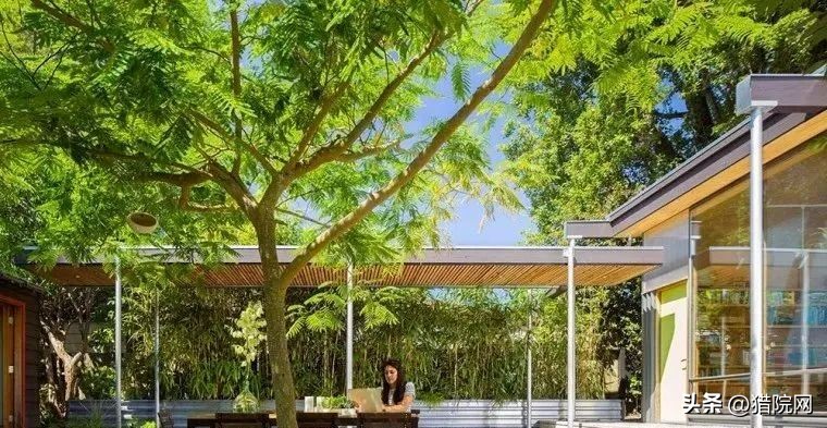 怎么租个农村院子做民宿,租个农村小院可以做什么