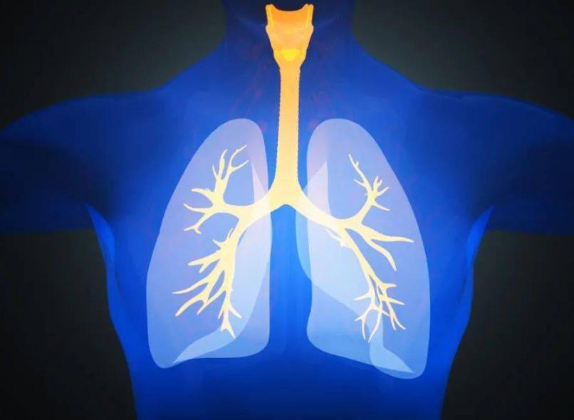 支气管哮喘痰液粘稠的预防,嗜酸性气道炎变异性哮喘怎么治疗