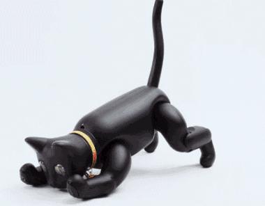 学生*党**的第一只机器猫，可以用来学代码