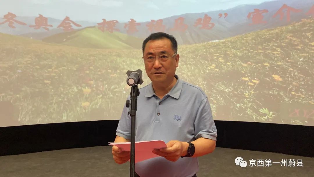 河北小五台山褐马鸡,小五台山褐马鸡