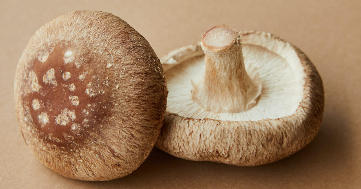 减肥低脂肪低热量的食物有哪些,减肥低热量食物排行榜