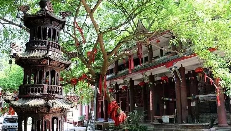 陇南市主要风景区,陇南春夏风景