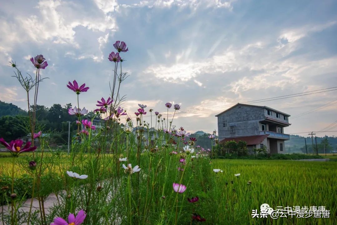 岳池旅游景点大全推荐,行走的美景