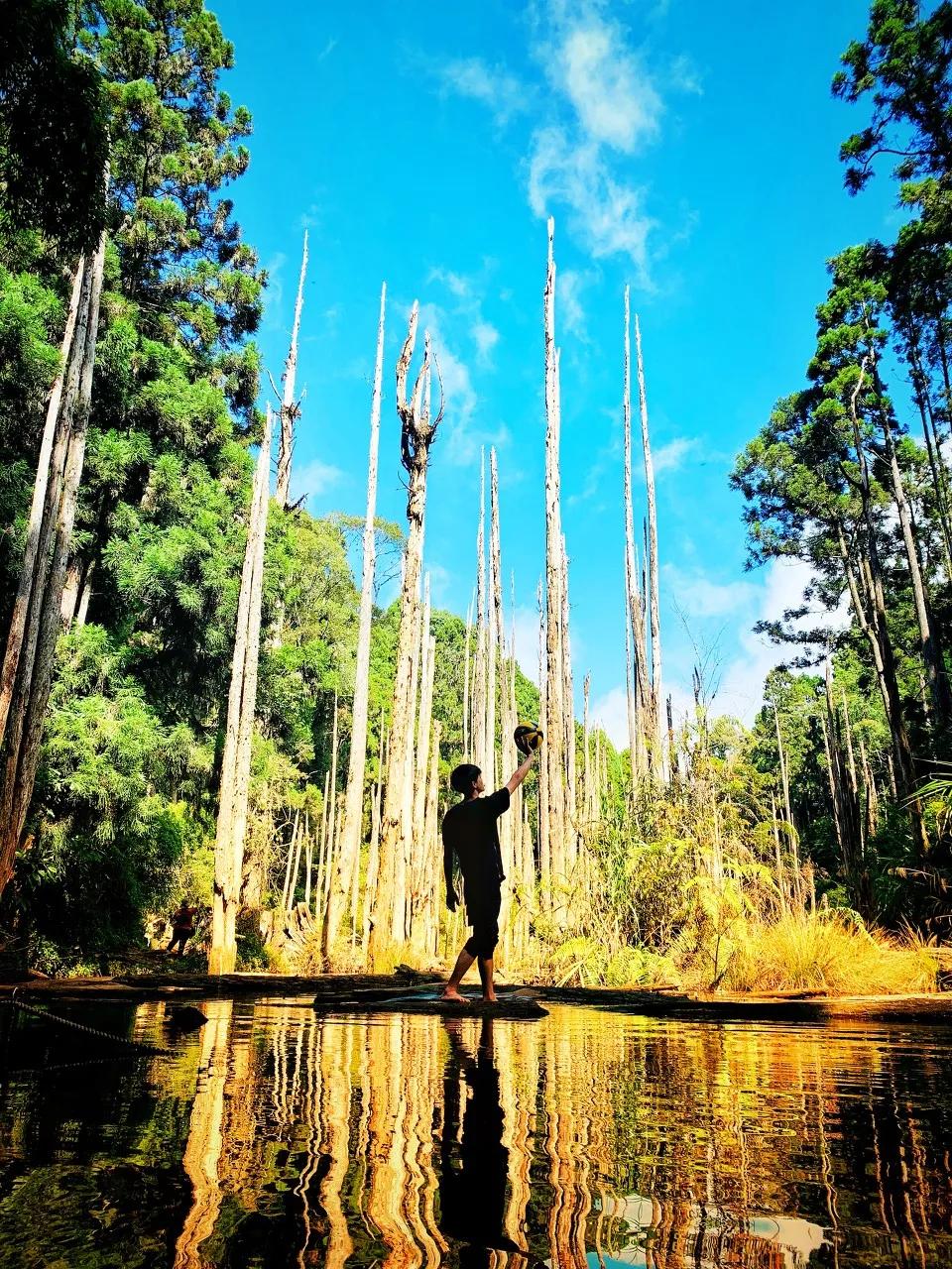 去台湾要怎么走最省钱呢,去台湾必须知道的100件事