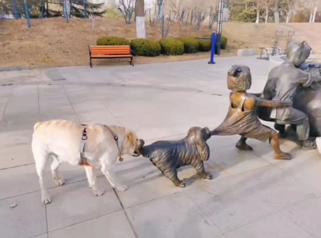 送男朋友巴黎世家哪款鞋子,巴黎世家哪款鞋送男友