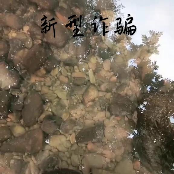 转发别人的作品算违规吗,转发器