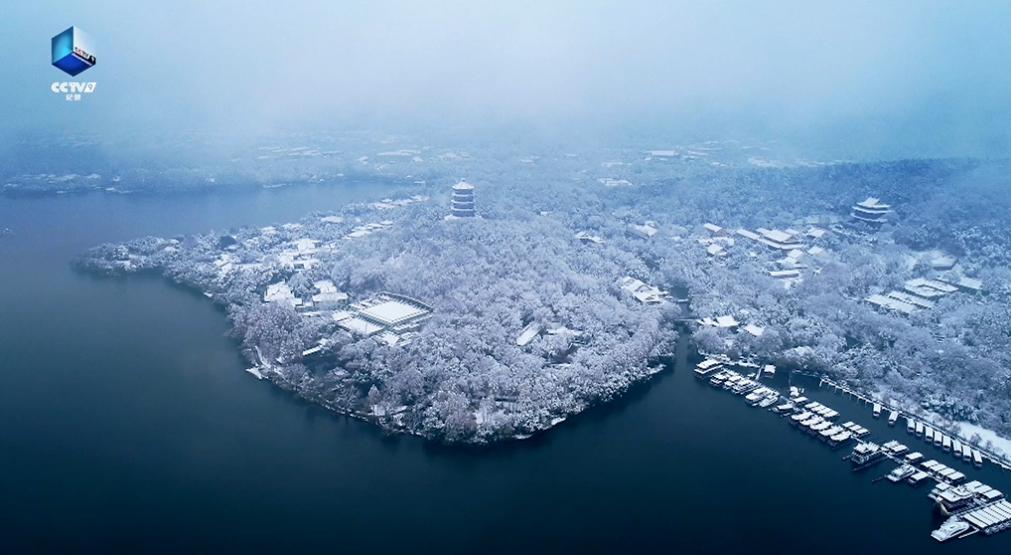 太养眼了！不能出门的日子，我给孩子找到了几个互联网“眼替”
