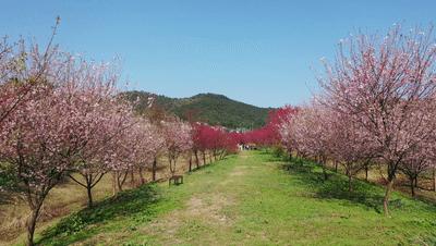 长沙近郊一日自驾游攻略,长沙大观园旅游攻略