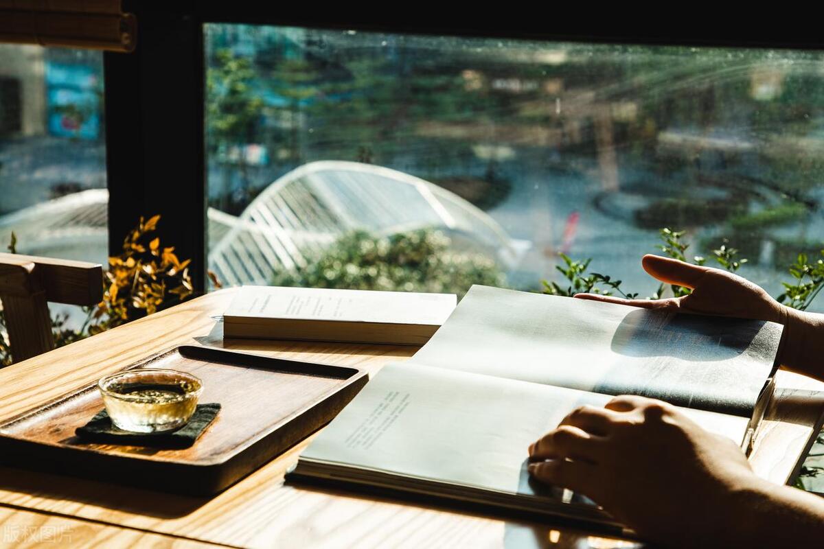 写网文小说需要了解和掌握的知识,网文新手写什么类型小说好