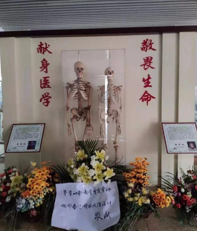 夫妻二人相继捐献遗体两副骨架,医学夫妻双双捐献遗体