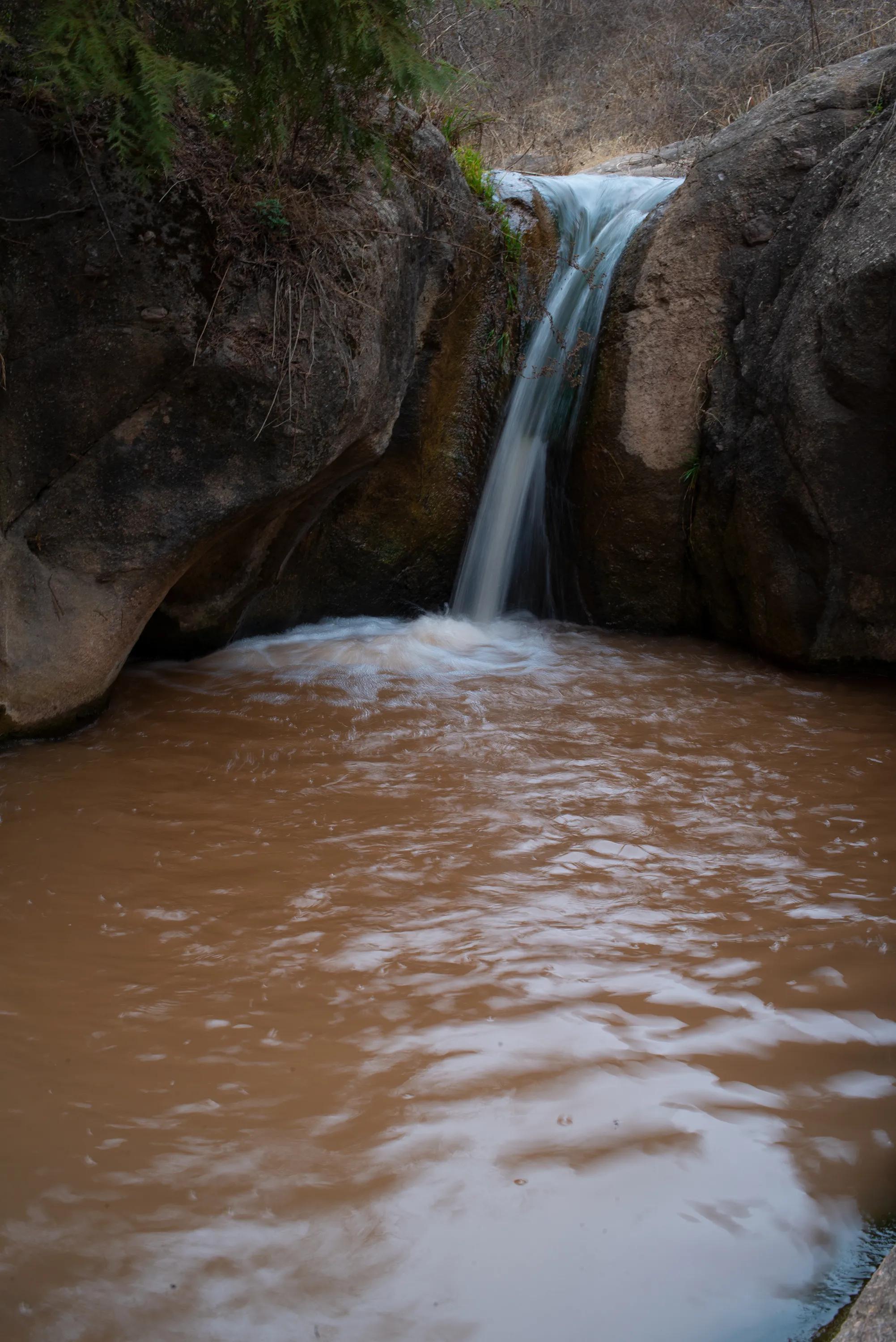 尼康调出油润感,尼康油润点的镜头