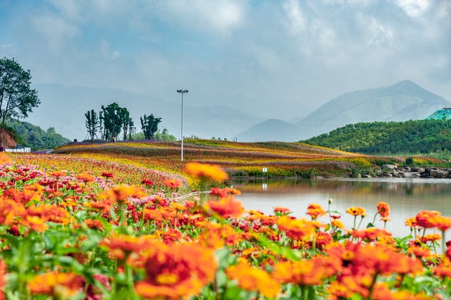 如何处理好邻里关系对于坏邻居该怎么办