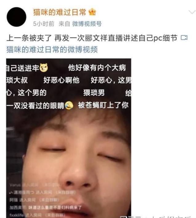 孙一宁:一场直播50万,为流量钓鱼王思聪,金主爸爸被耍得团团转