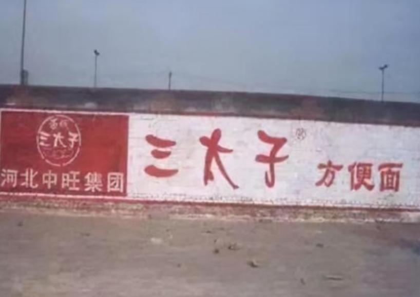 方便面巨头衰落视频,王中旺成功和失败的原因