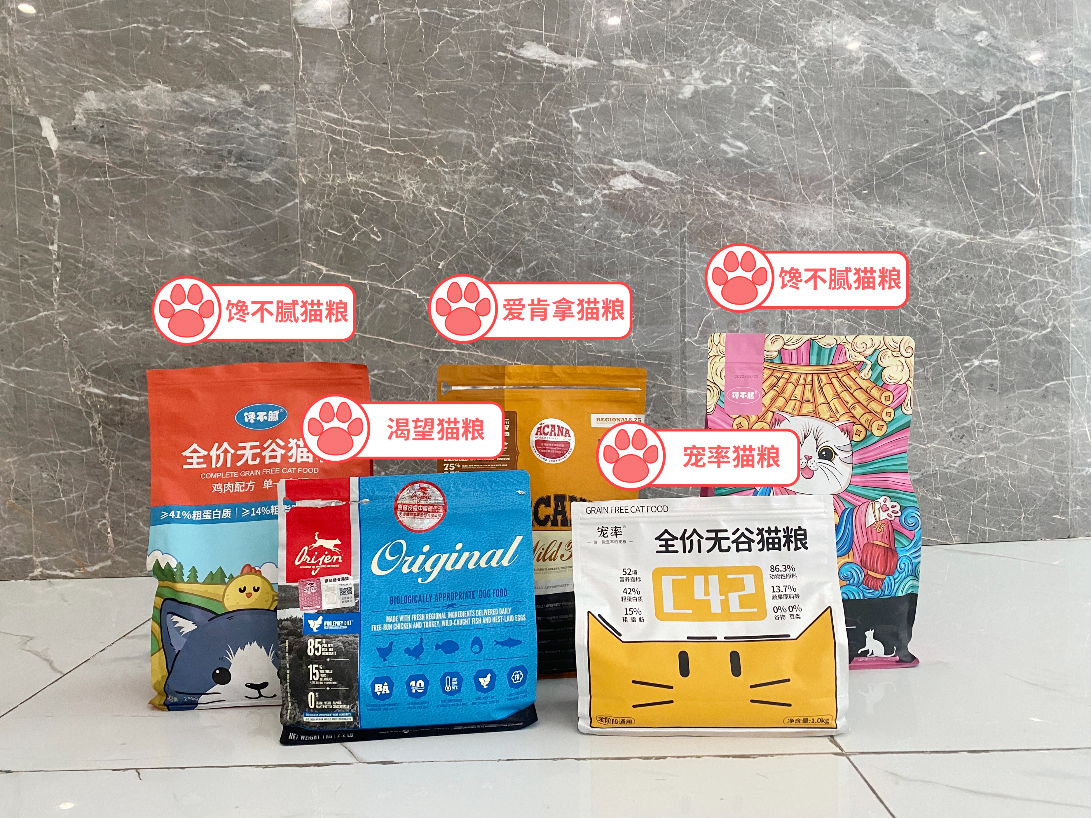 猫咪取名有多离谱,猫咪取名招来好运气