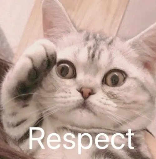 每天睡后收入30元！京东云、星际比特，打工人的PCDN折腾经验分享