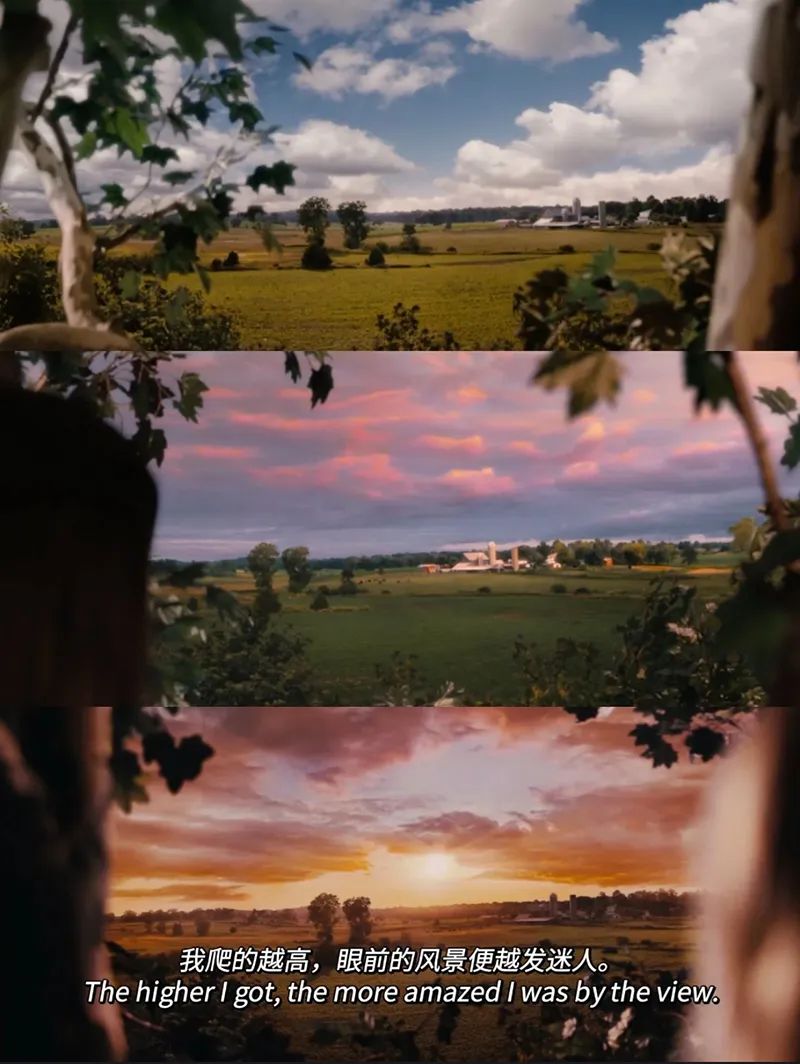 十部顶级神作9.5评分电影治愈系,十部顶级治愈心灵电影免费