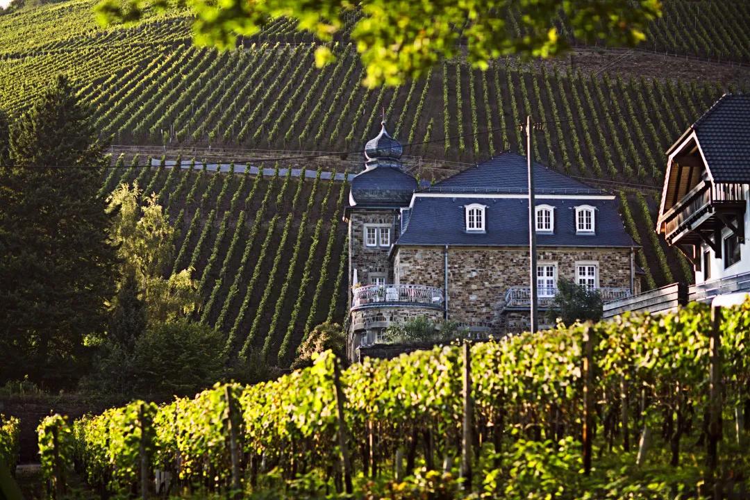 雷司令587岁生日宴来啦！！21款精选美酒与您同庆