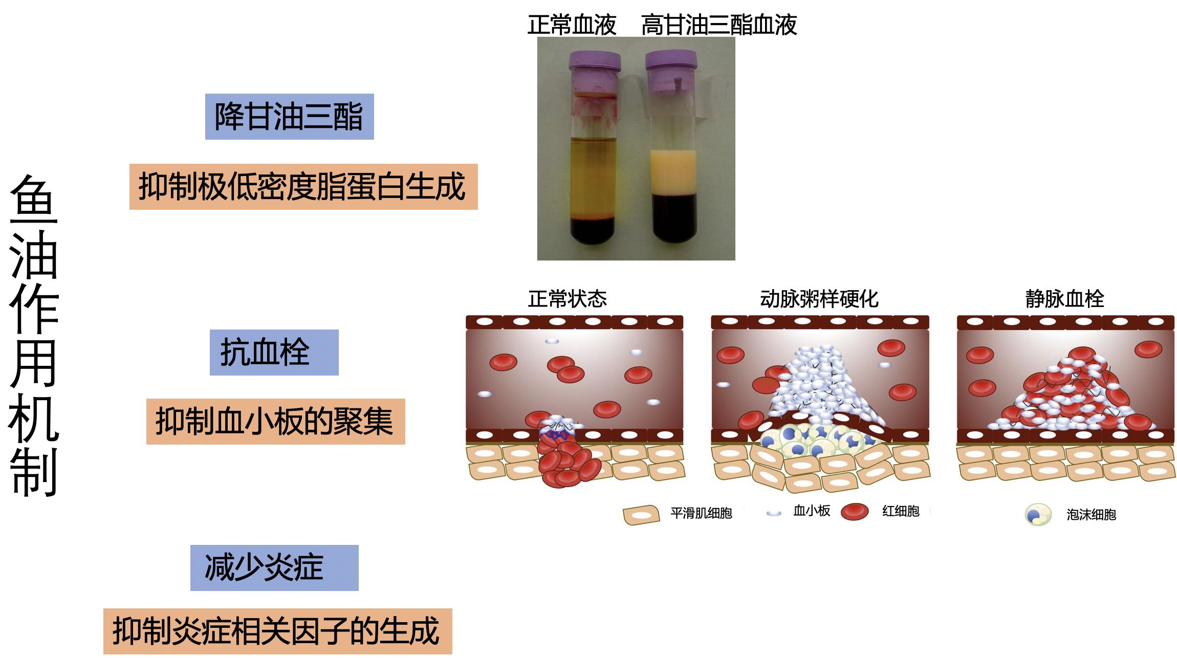 关注心血管健康科普,关注心脑血管健康