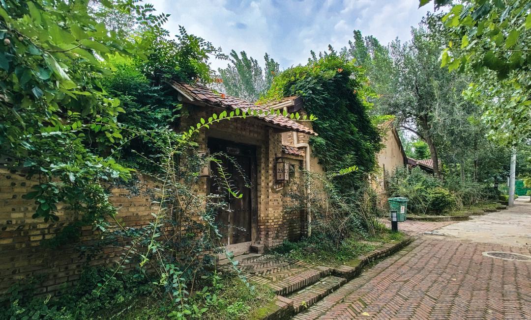 山东的家乡人有什么特别生活习惯,山东人介绍自己的家乡